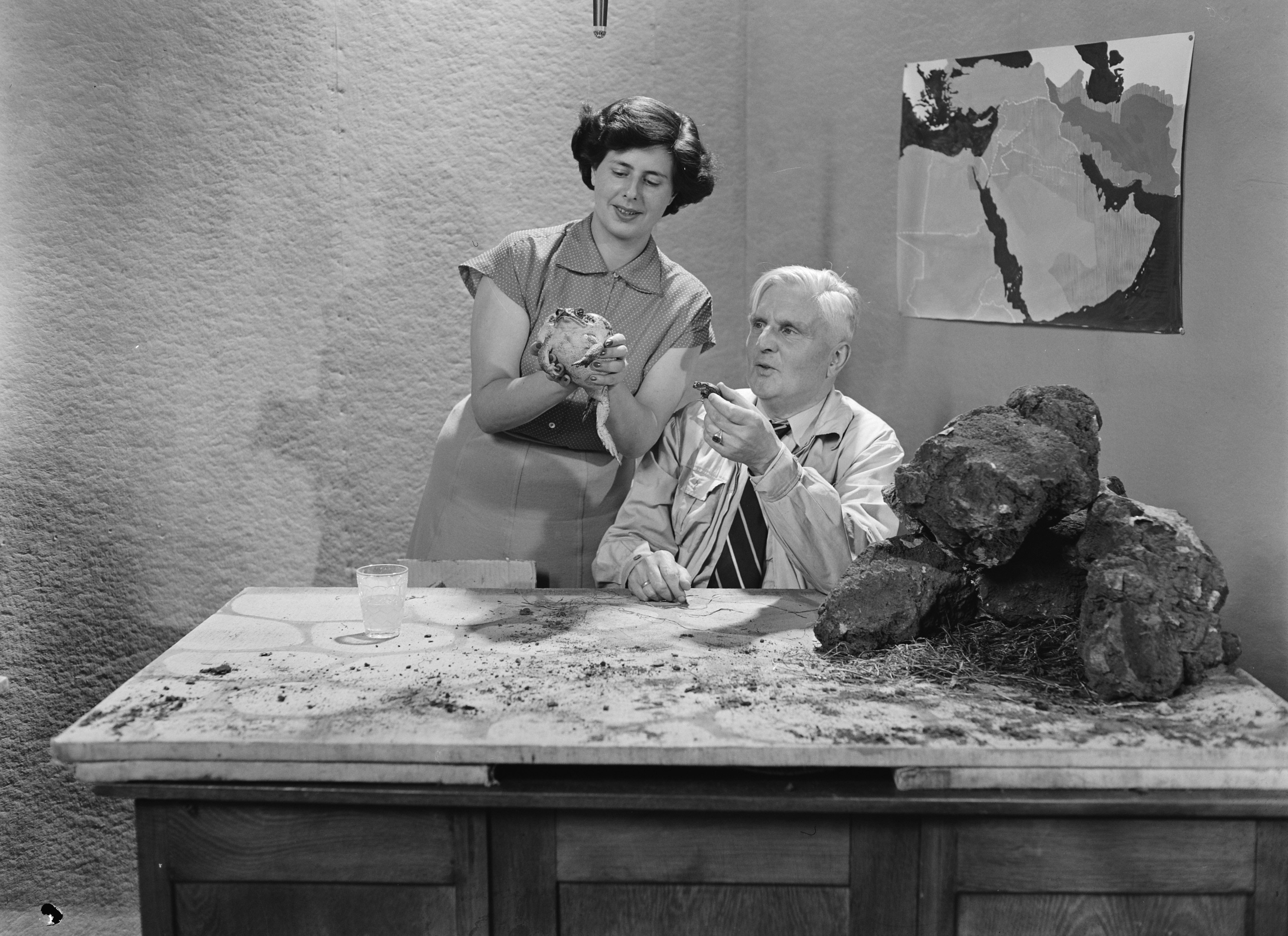 Netty Rosenfeld at the first AVRO television broadcast in 1951